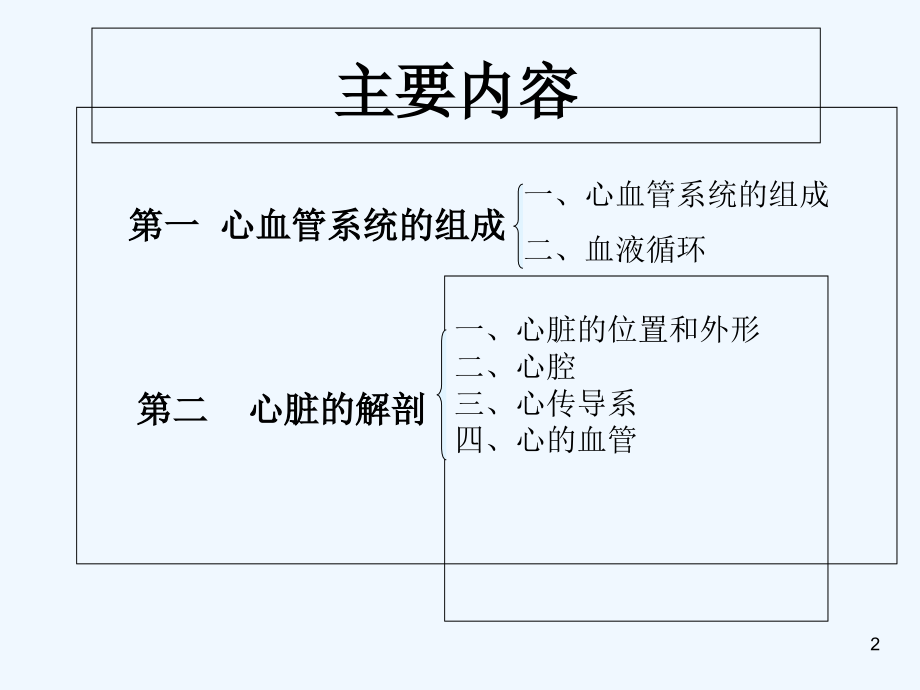 心脏解剖终.ppt_第2页
