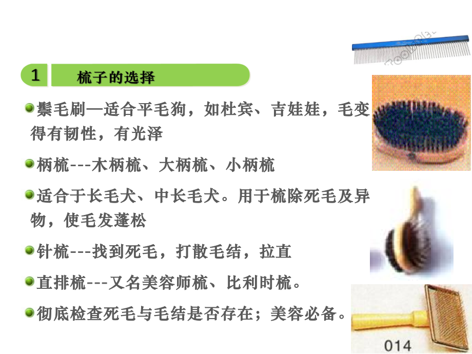 犬的基础护理-梳毛.ppt_第2页