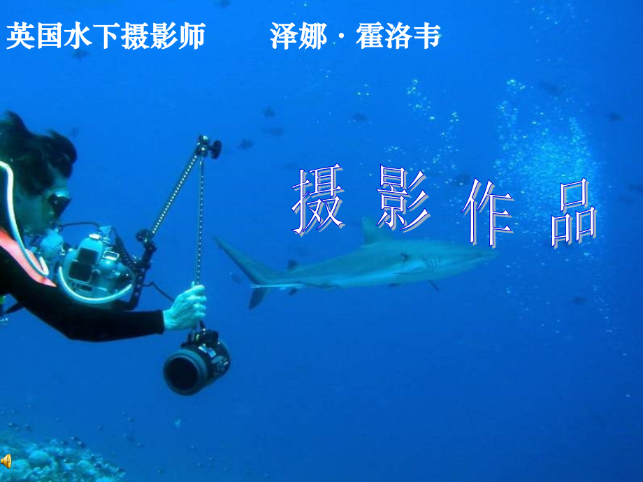 英国水下摄影师泽娜作品.ppt_第1页