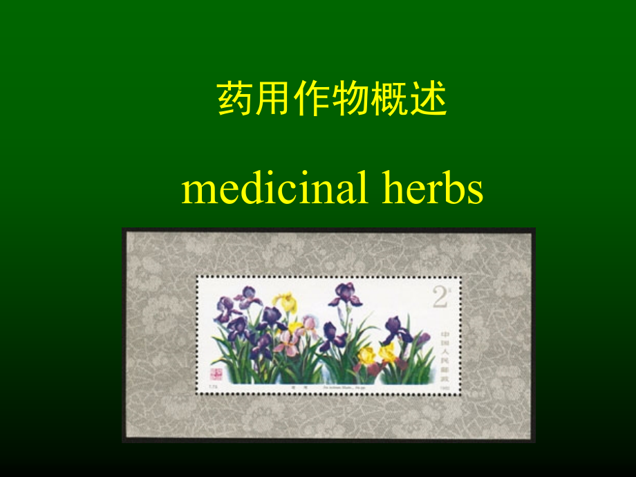 药用作物概述.ppt_第1页