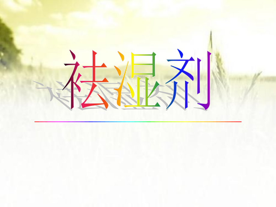 祛湿剂-PPT..ppt_第1页