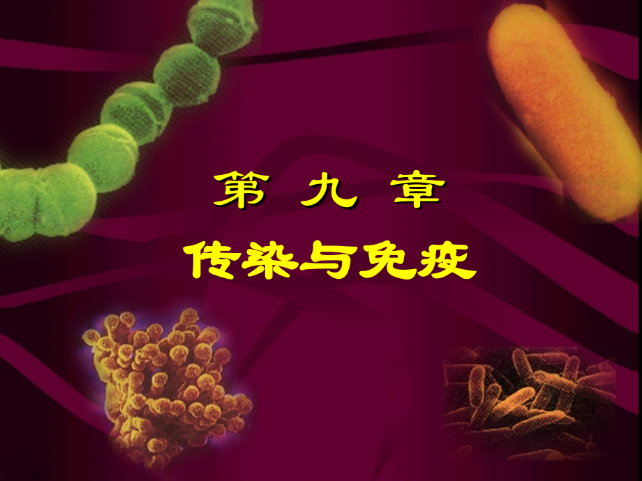 第9章 传染与免疫.ppt_第2页