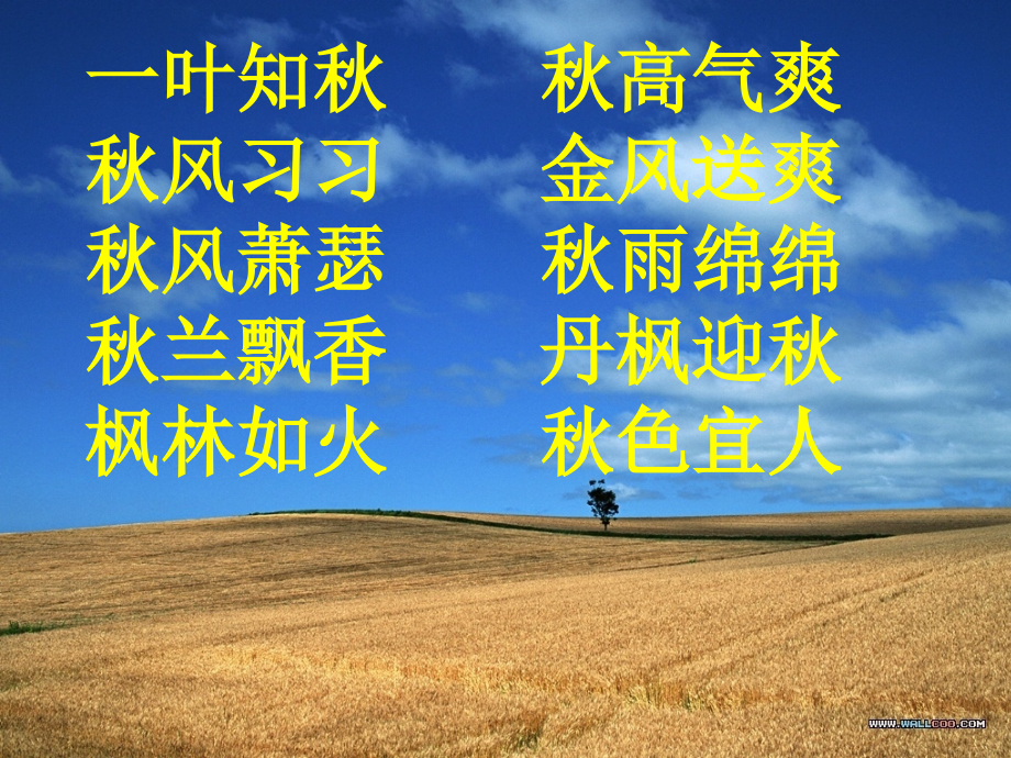 三年级语文上册第一组6-做一片美的叶子第二课时课件.ppt_第1页