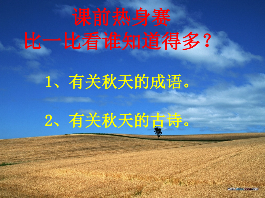 三年级语文上册第一组6-做一片美的叶子第二课时课件.ppt_第2页