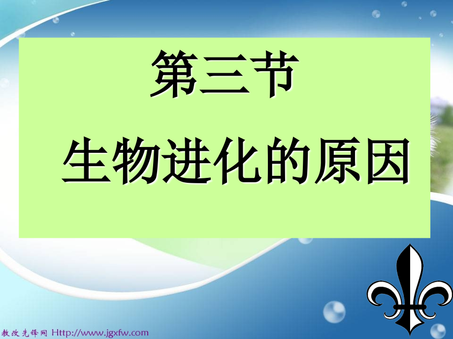 第四节生物进化的原因课件.ppt_第1页