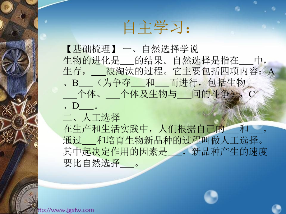 第四节生物进化的原因课件.ppt_第2页