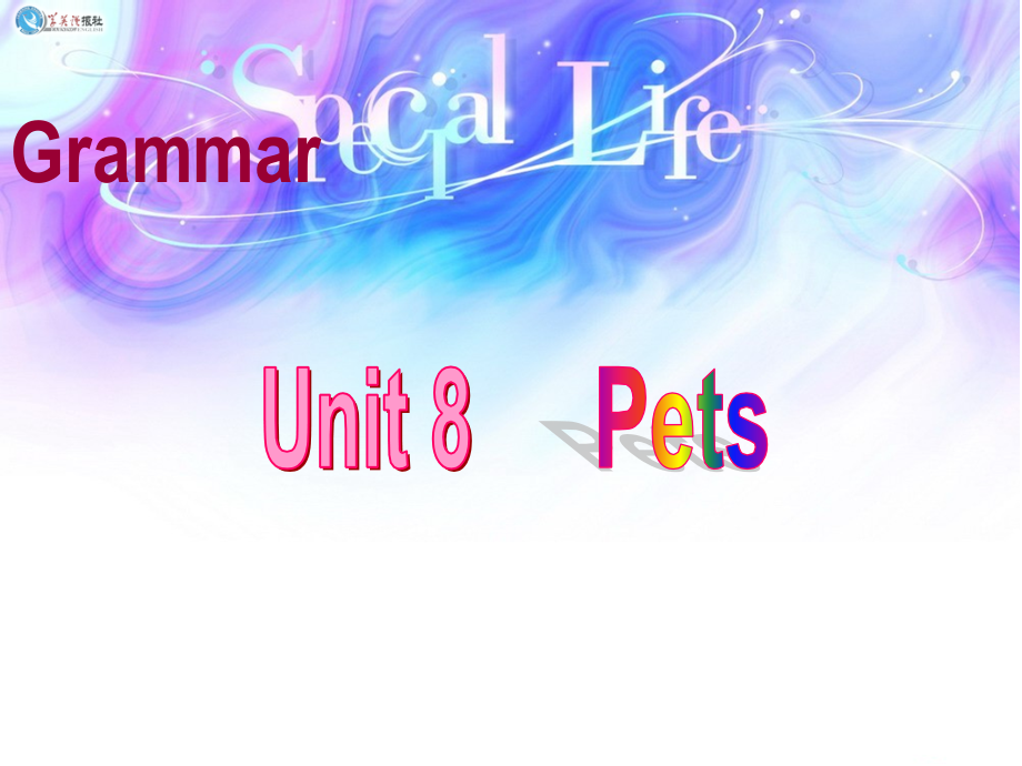 牛津译林版七下：Unit8PetsGrammar.ppt_第2页