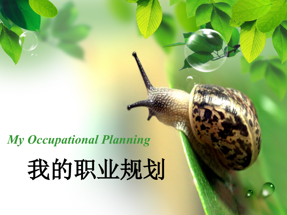 本科护理专业学生职业规划.ppt_第1页