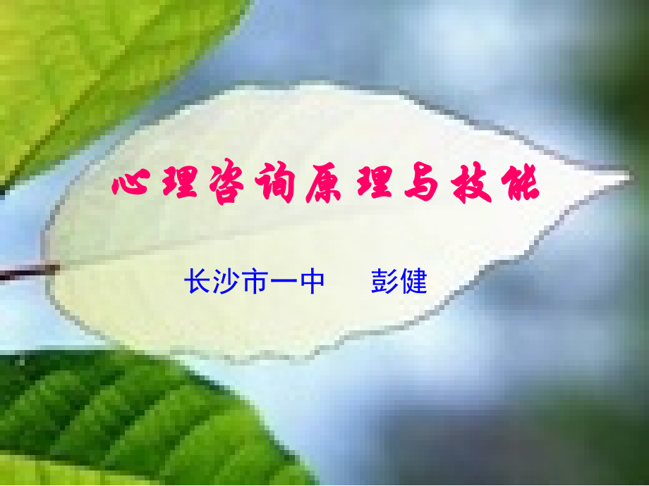 心理咨询原理与技能.ppt_第1页