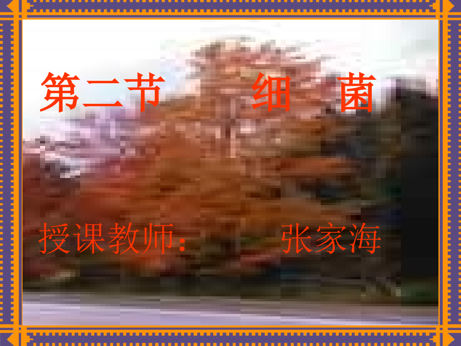 人教-生物-八年级-上册-课件-第5单元第4章-第二节　细菌1.ppt_第1页