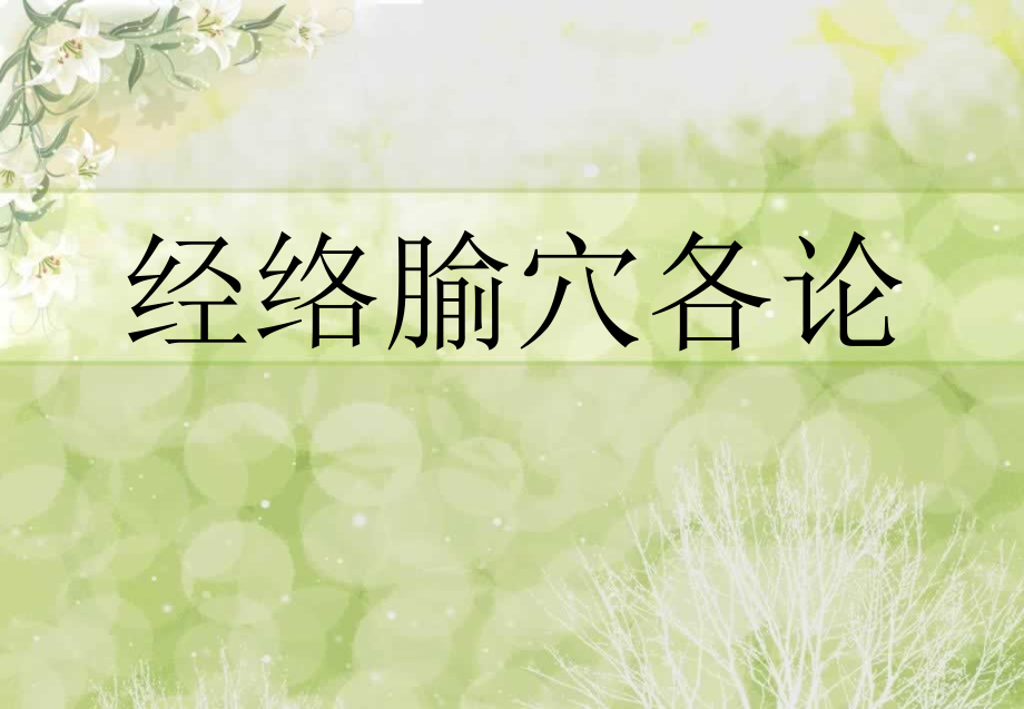 经外奇穴ppt课件.ppt_第1页