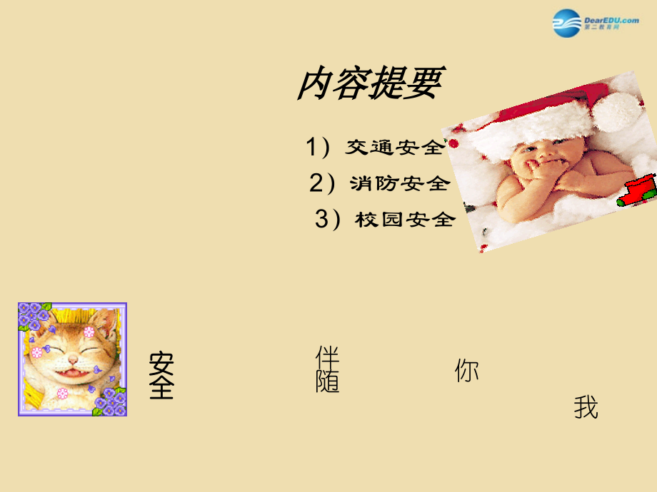 中学安全教育主题班会 life不属于你自己课件.ppt_第2页