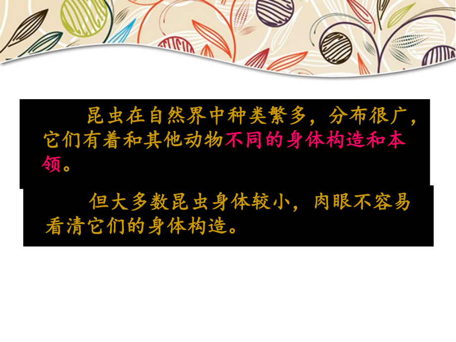 教科版小学科学《放大镜下的昆虫世界》课件.ppt_第2页