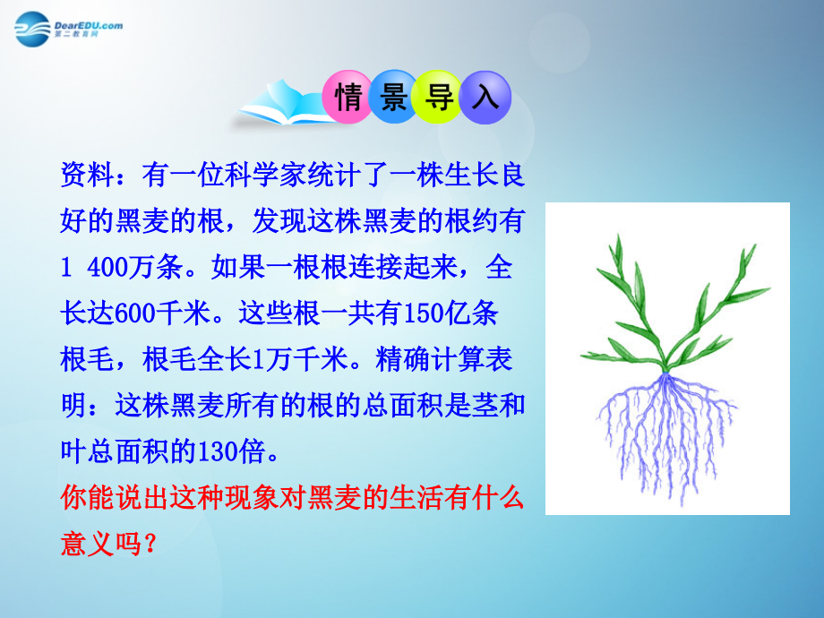 七年级生物上册 3.2.2 植株的生长课件 （新版）新人教版.ppt_第1页