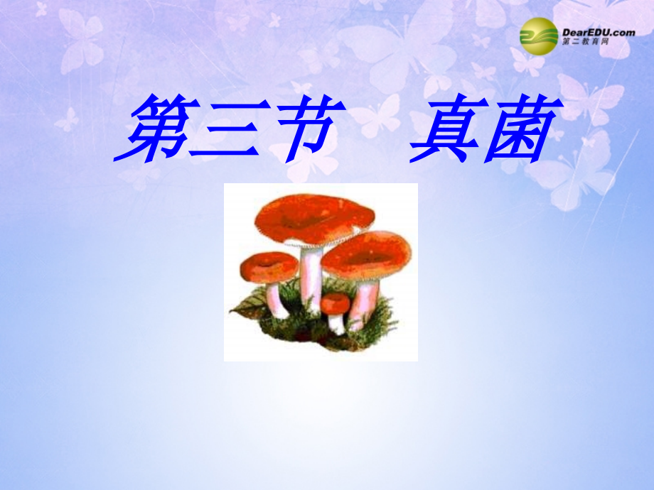 中学八年级生物上册 5.4.3 真菌课件 新人教版 课件.ppt_第1页