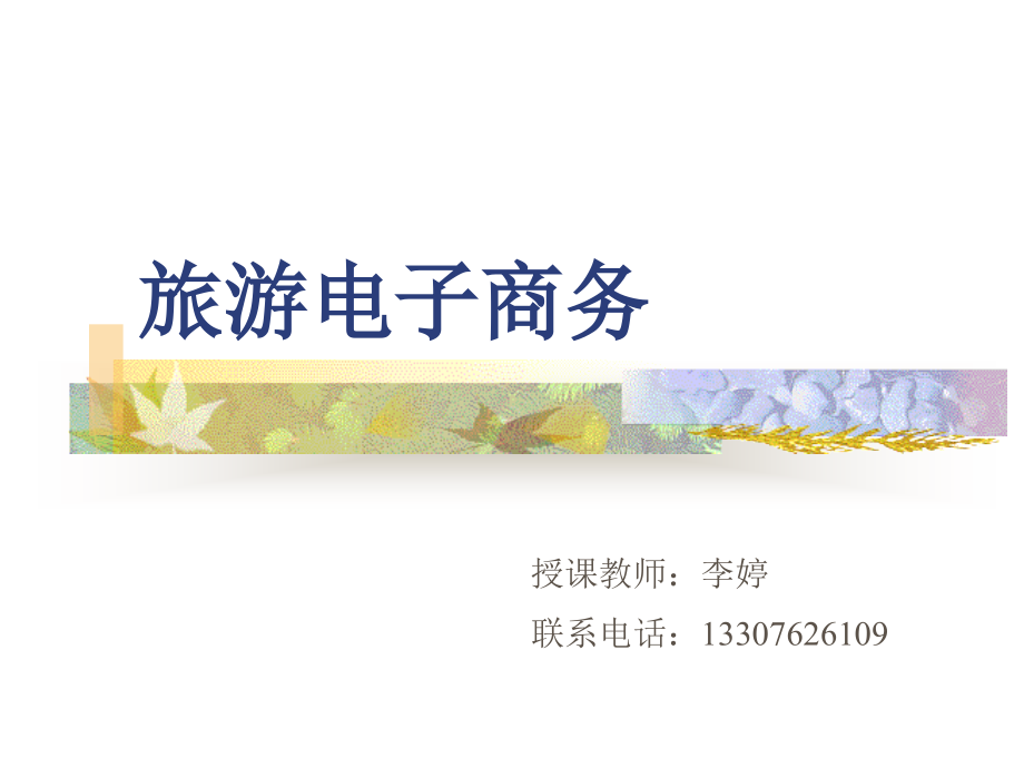 旅游电子商务6.ppt_第1页