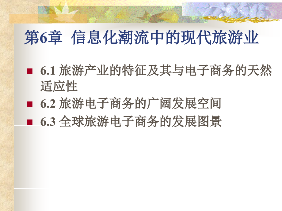 旅游电子商务6.ppt_第2页