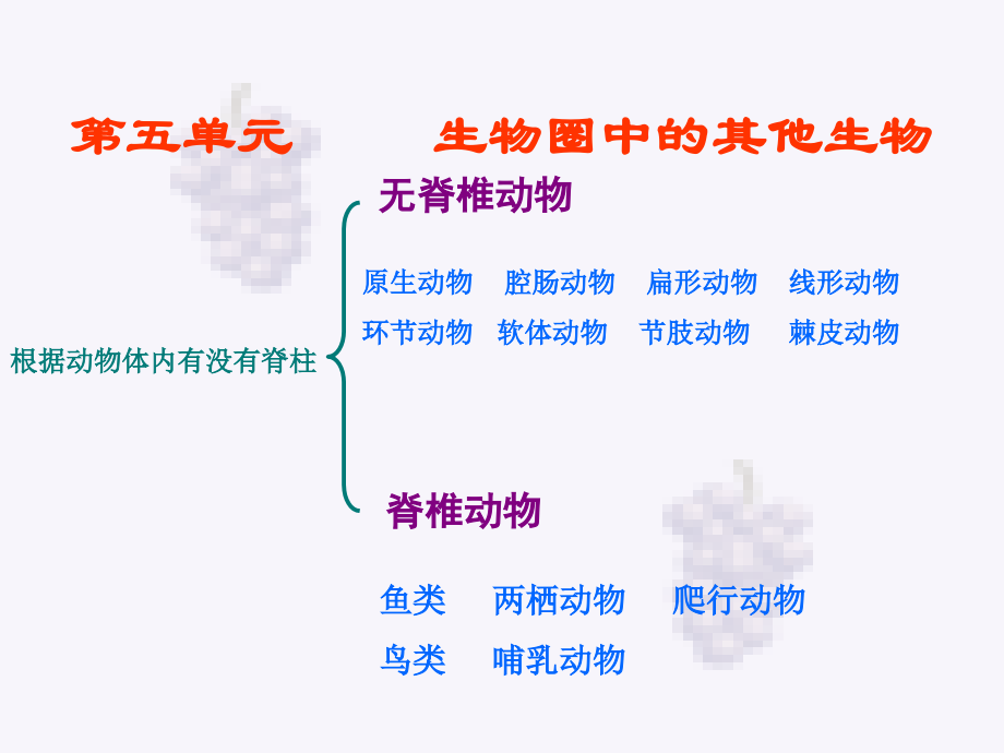 八年级生物新人教版生物圈中的其他生物复习ppt 课件.ppt_第1页