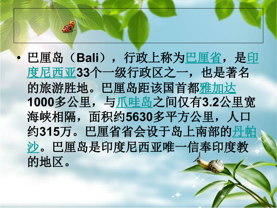 巴厘岛de人土风情.ppt_第2页
