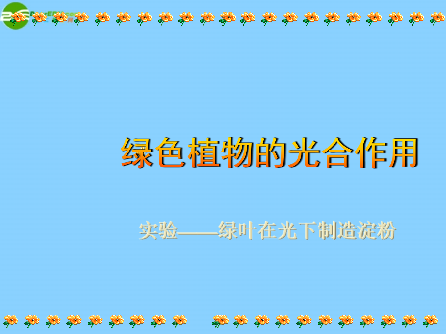 七年级生物上册 绿色植物的光合作用课件 济南版 课件.ppt_第1页
