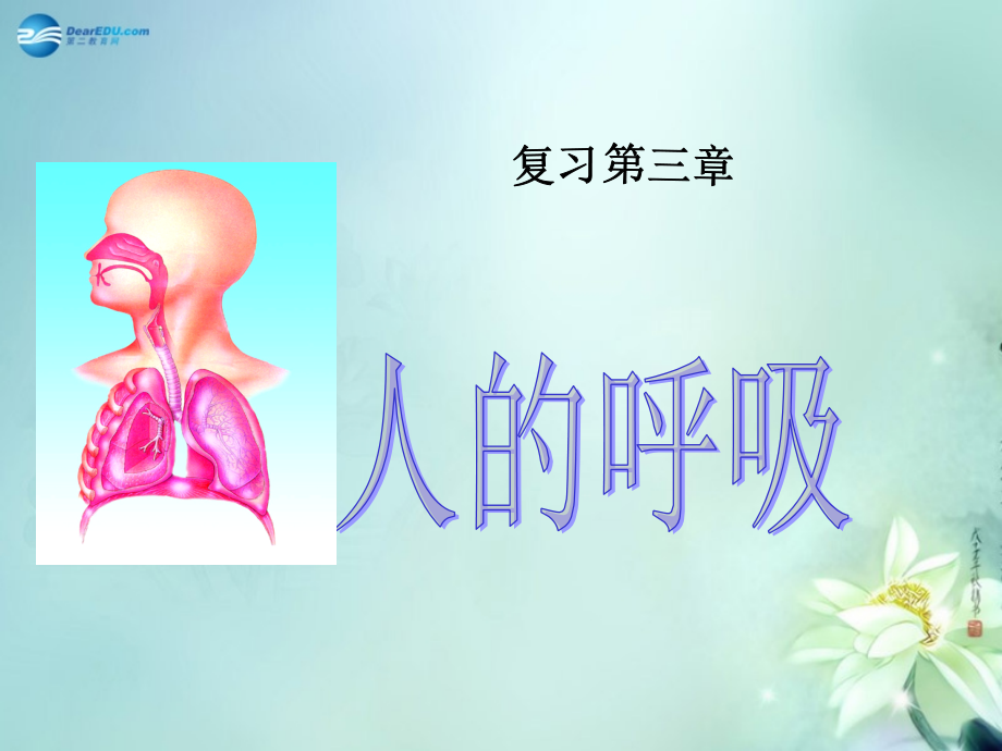 山东省临沂市蒙阴县第四中学七年级生物下册 第四单元 第三章 人的呼吸复习课件 （新版）新人教版.ppt_第1页