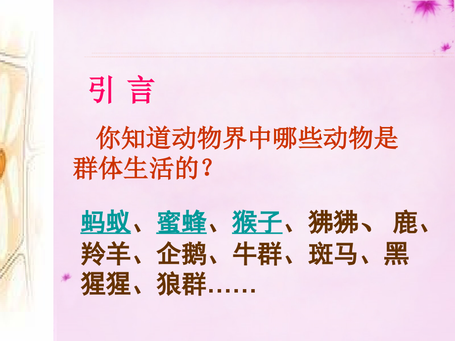 八年级生物上册 5.2.3 社会行为课件1 (新版)新人教版 课件.ppt_第2页