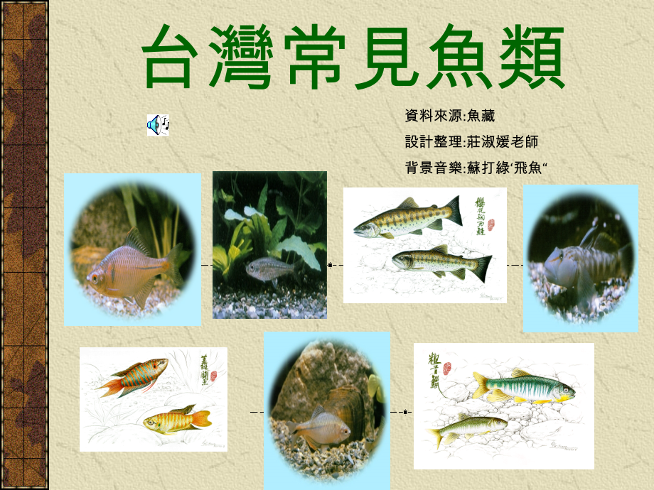 台湾常见鱼类.ppt_第1页