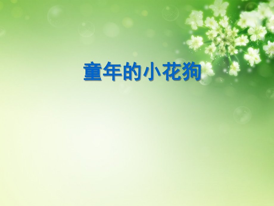 向阳小学五年级语文下册 童年的小花狗 1课件 鄂教版.ppt_第1页