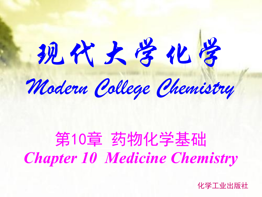 药物化学基础-PPT课件.ppt_第1页