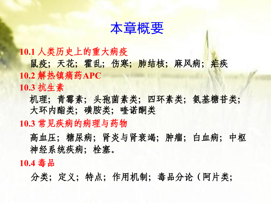 药物化学基础-PPT课件.ppt_第2页