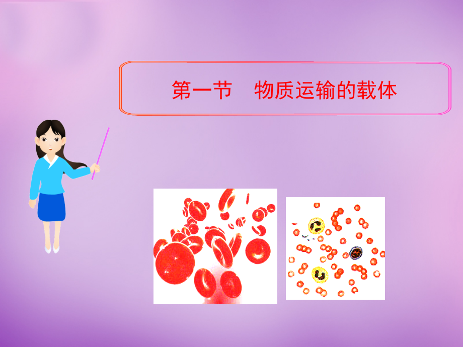 中学七年级生物下册 3.1 物质运输的载体课件 (新版)济南版 课件.ppt_第2页