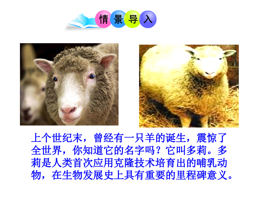 《第一节-现代生物技术的应用》课件5.ppt_第1页