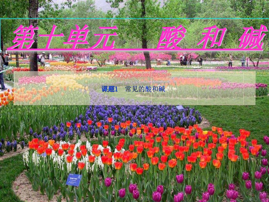 九年级化学第十单元第一节常见的酸和碱课件全国通用 课件.ppt_第1页