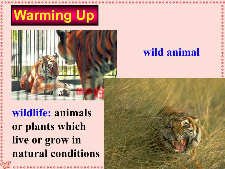 肇庆地区高一英语Unit4 Wildlife Protection一新课标 必修2 课件.ppt_第2页