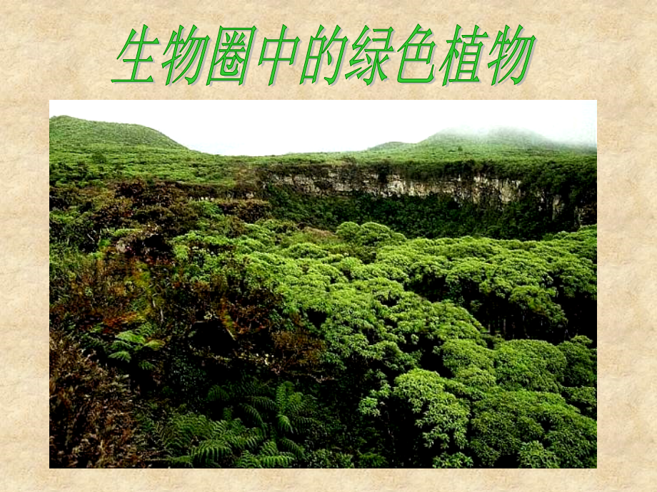 藻类植物,苔藓植物ppt.ppt_第1页