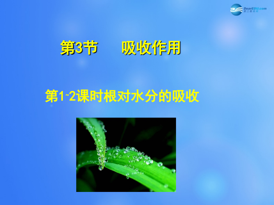 七年级生物上册 第5章 第3节 吸收作用课件1 北师大版.ppt_第1页