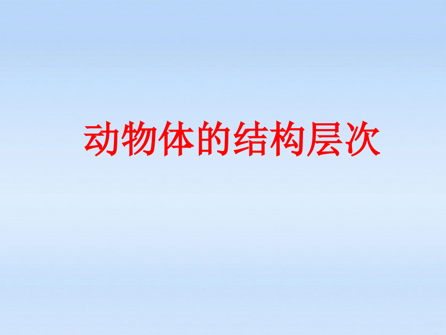 七年级生物上册 动物体的结构层次课件 人教新课标版 课件.ppt_第1页