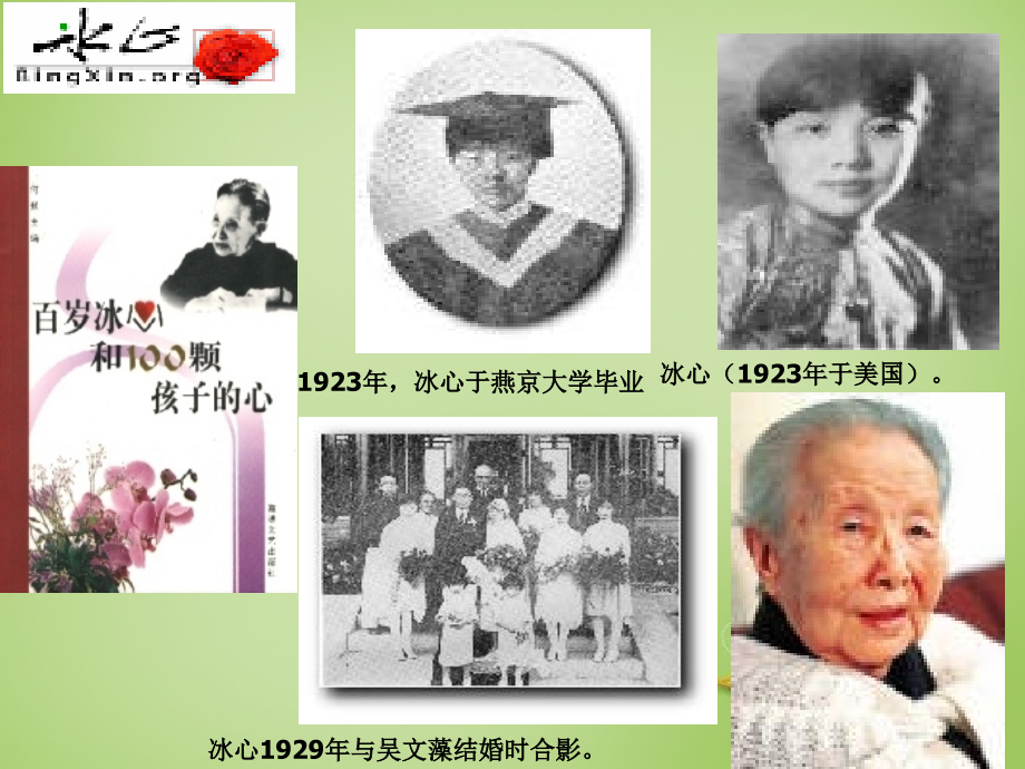 九年级语文下册 9 谈生命课件3 新人教版 课件.ppt_第2页