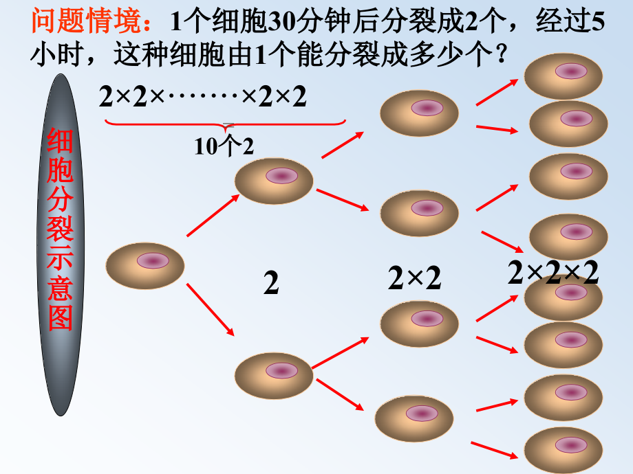 七年级数学有理数的乘方课件1 苏教版 课件.ppt_第2页