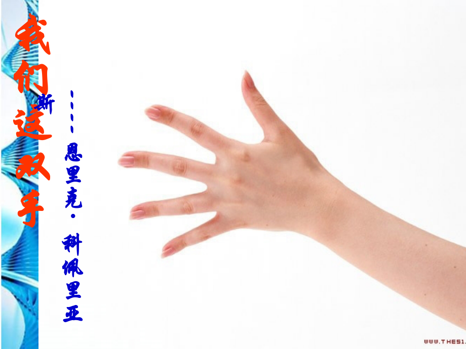 八年级语文下册(我们这双手)课件 北师大版 课件.ppt_第1页