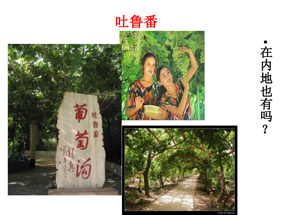 七年级历史上册汉通西域和丝绸之路课件人教版 课件.ppt_第2页