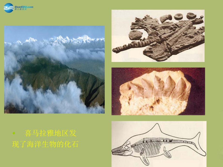 中学七年级地理上册 2.2 海洋的变迁教学课件(新版)新人教版 课件.ppt_第2页