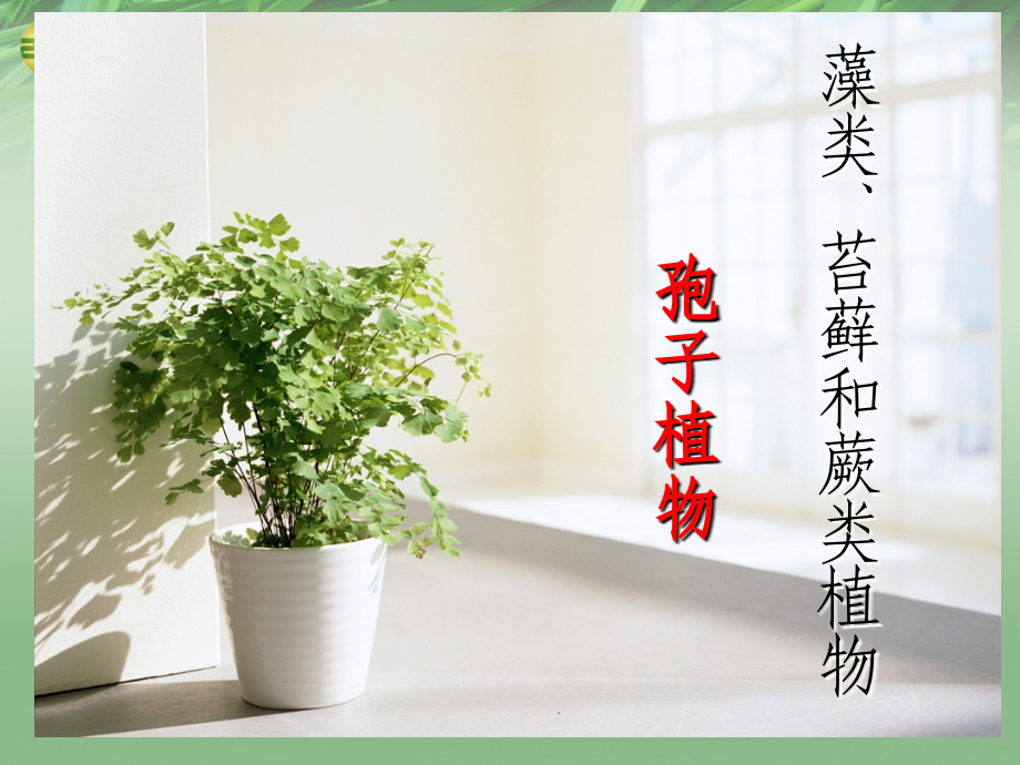 七年级生物上册 第一节 藻类苔藓和蕨类植物课件 新人教版 课件.ppt_第1页