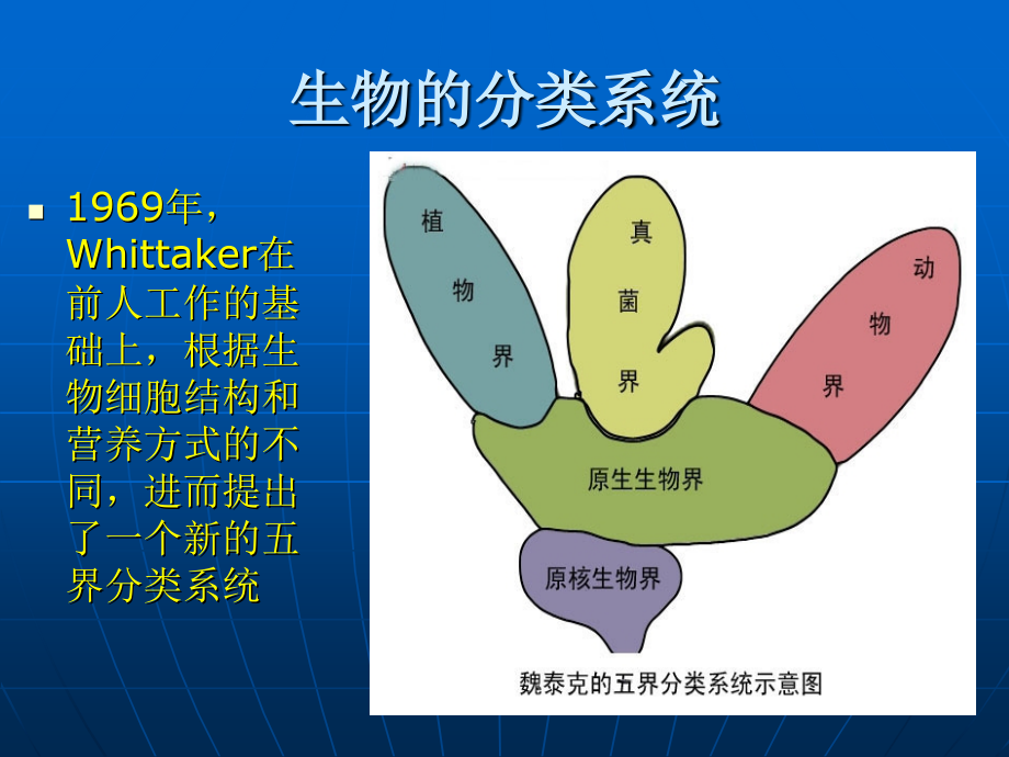 病毒性皮肤病及真菌性皮肤病.ppt_第2页