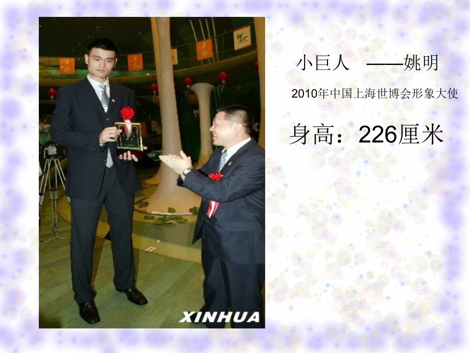 面积与面积单位.ppt_第2页