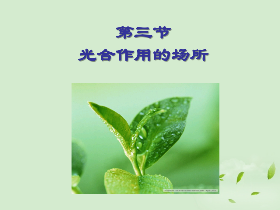 八年级生物 第四章第三节光合作用的场所课件 冀教版.ppt_第2页