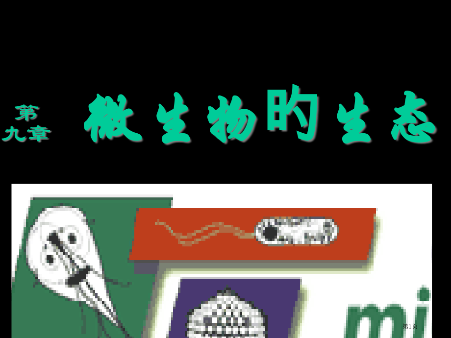 新版微生物的生态.pptx_第1页