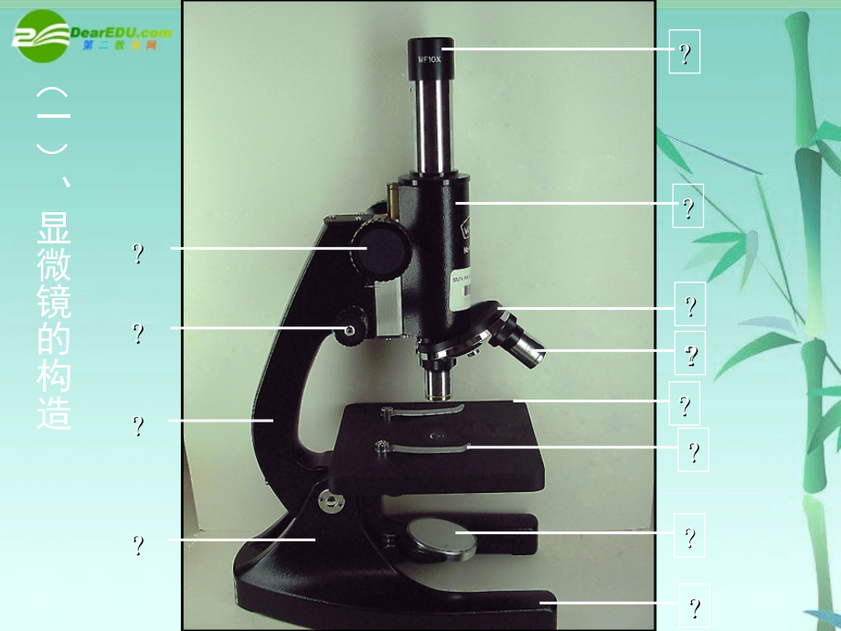 七年级生物上册 探索生命的器具6课件 苏教版 课件.ppt_第2页