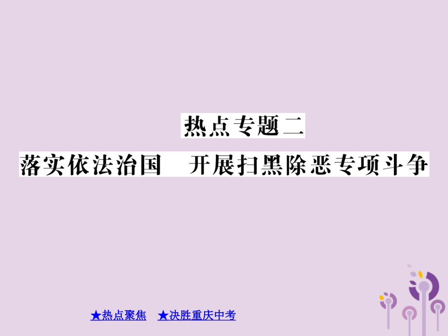 决胜中考道德与法治热点专题复习 专题二 落实依法治国 开展扫黑除恶专项斗争课件.pptx_第1页