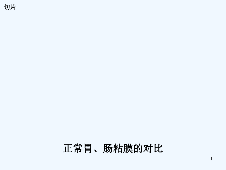 病理切片观察.ppt_第1页